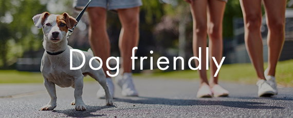 Dog friendly