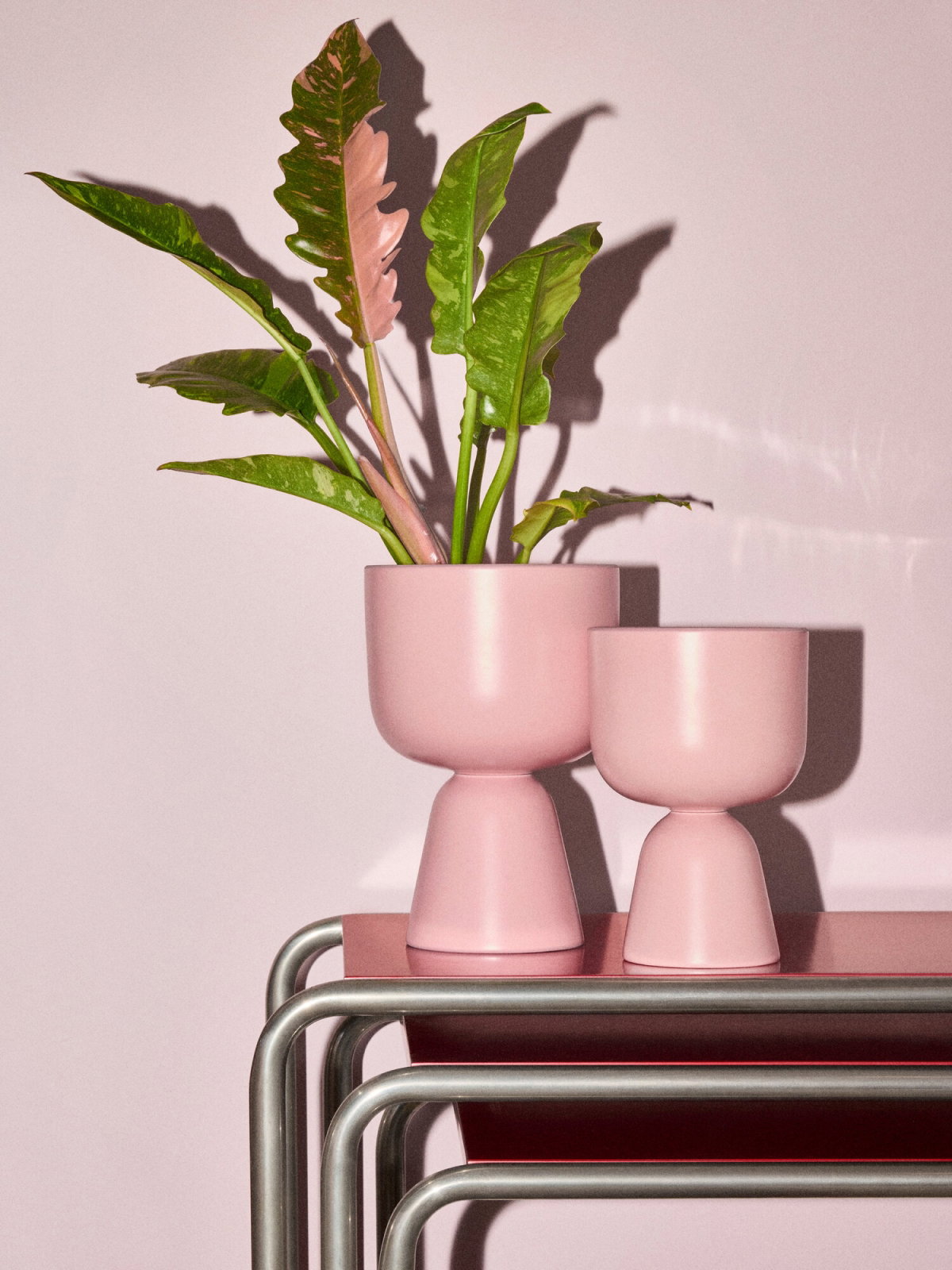 category_image_decor