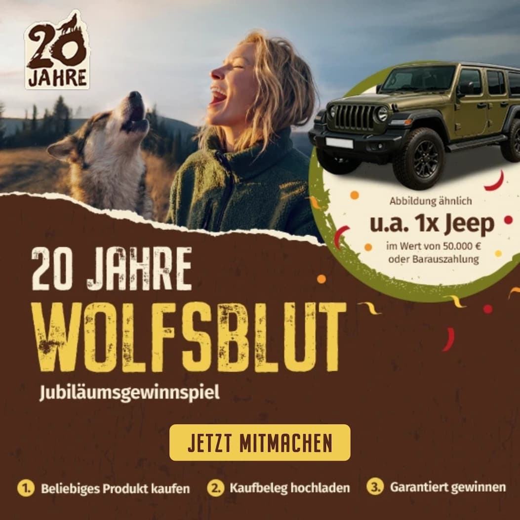 Hund mit Frau und einen Jeep zum Gewinnen