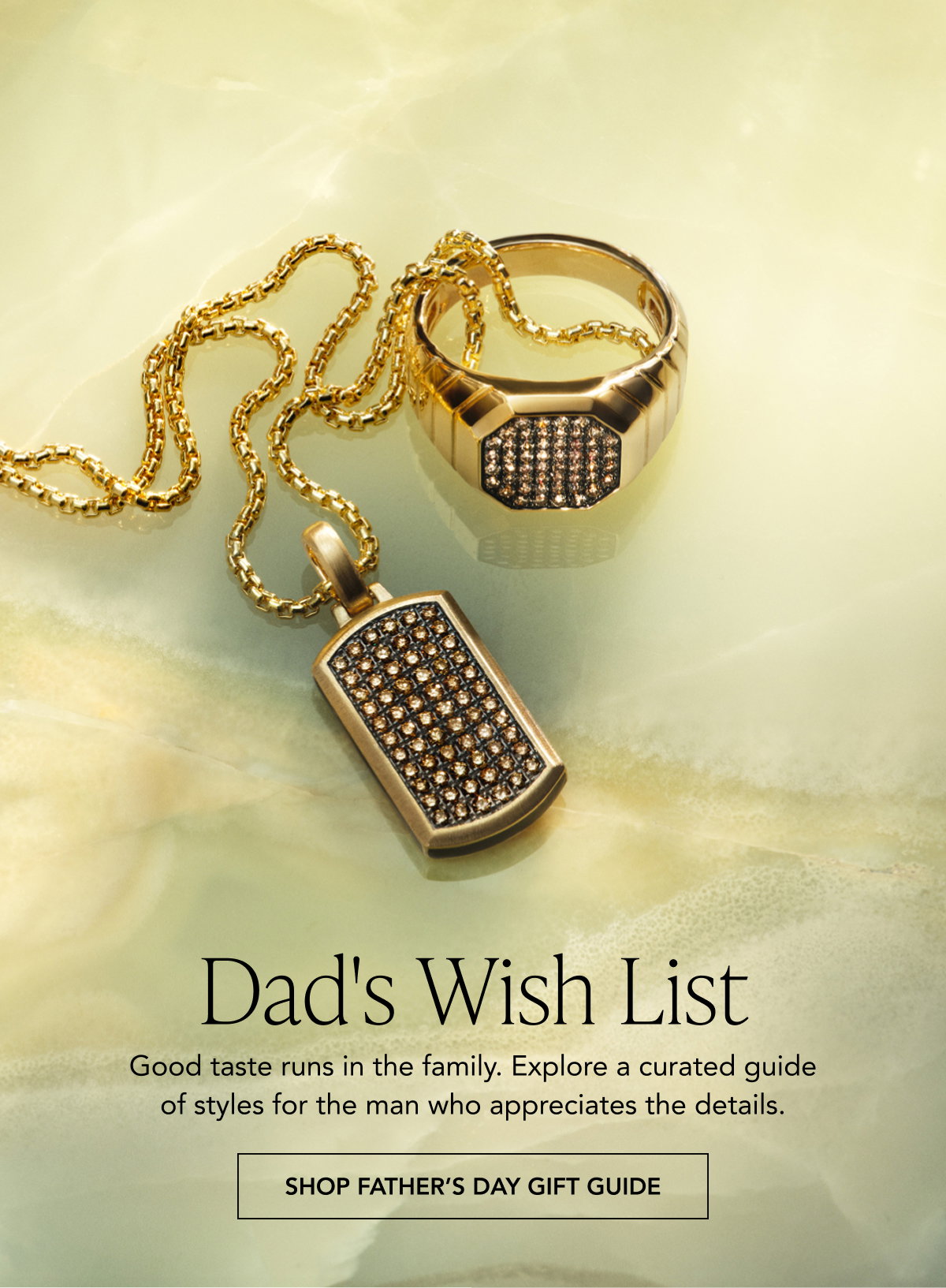 SHOP FATHER'S DAY GIFT GUIDE