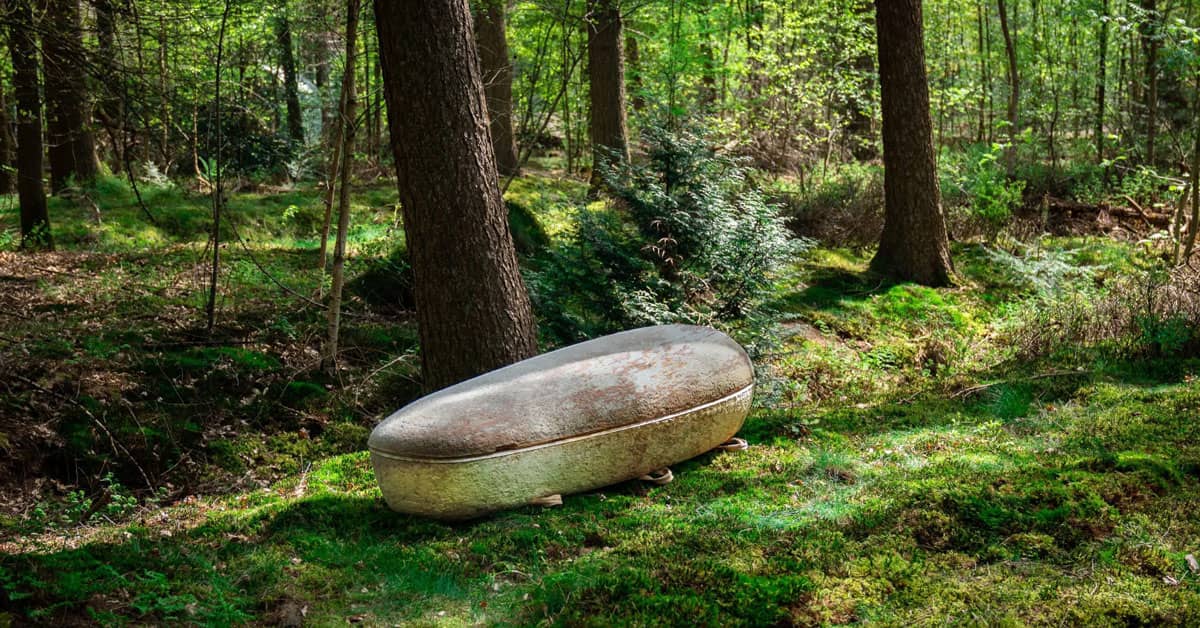 A white and brown casket-looking pod surrounded by nature