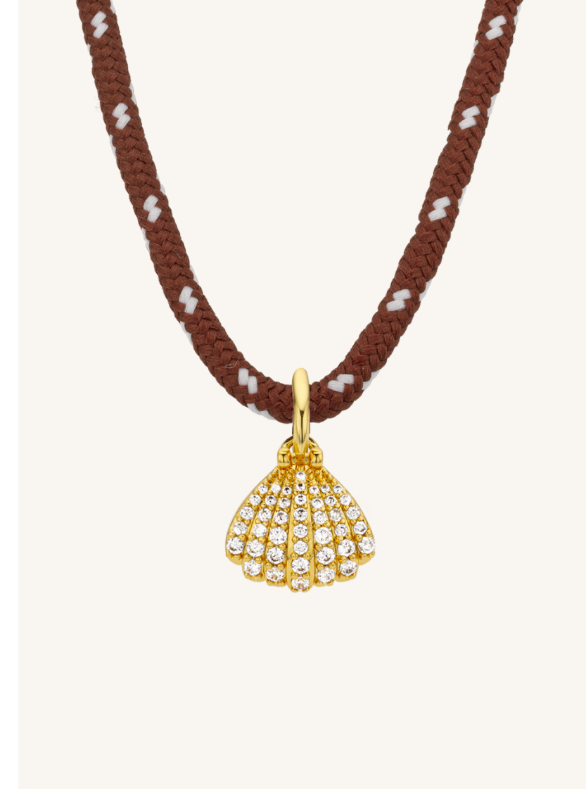 COLLIER - BROWN SHELL