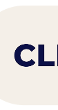CleanBoss
