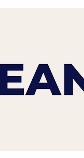 CleanBoss
