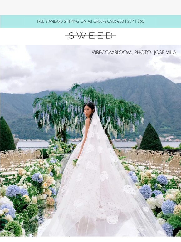 Got a wedding invite? Look here 🧚