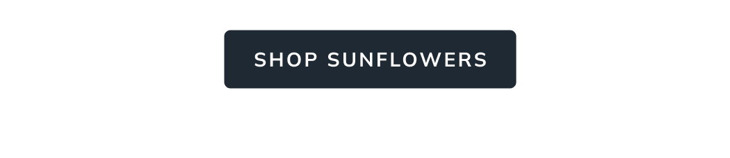 Shop Sunflowers