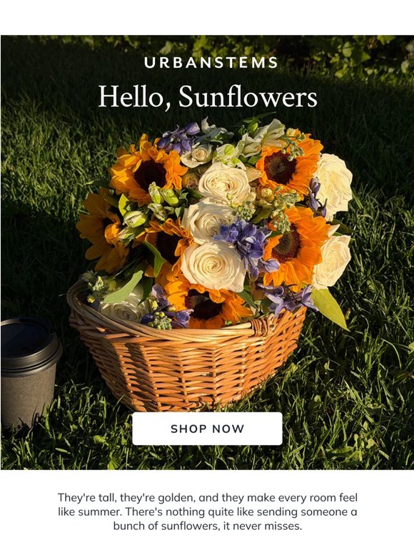 Sunflower season is here