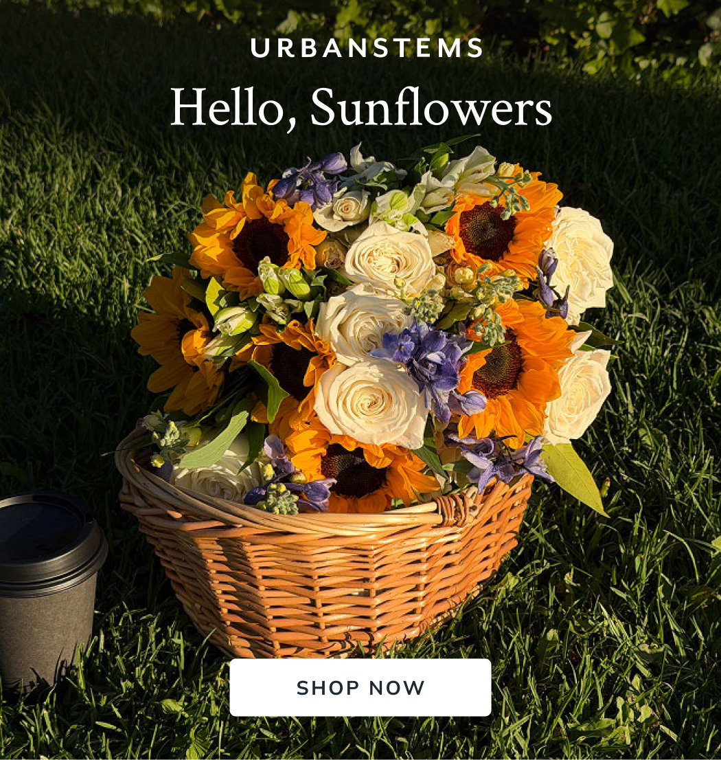 Hello, Sunflowers