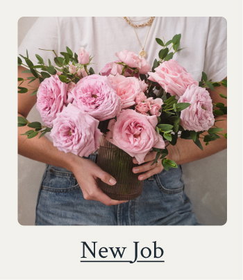 New Job
