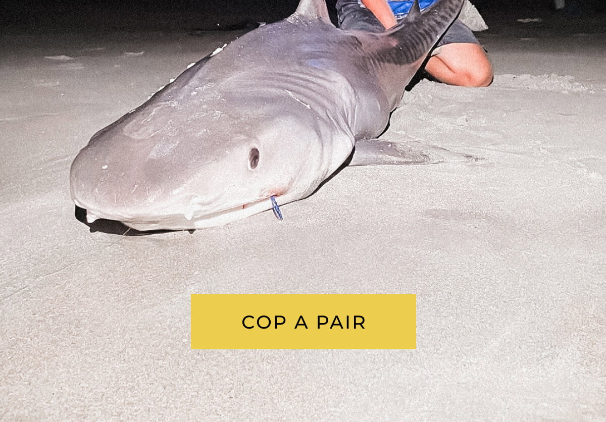 Person wearing sunglasses and light colored shirt kneeling next to large shark on sandy beach at night