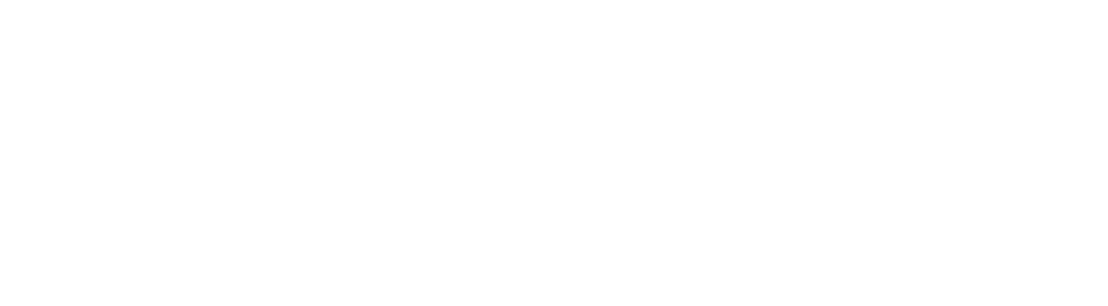 Giesswein