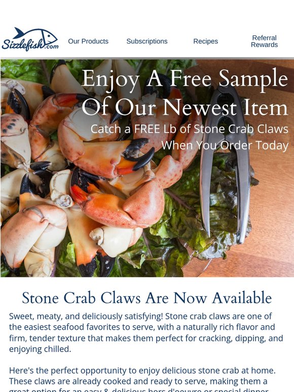 A Free Sample of Our Newest Item!