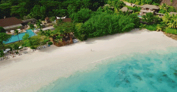 Hero video featuring four scenes: 1) Aerial view of a beach with clear water, palm trees, and a pool area. 2) Children running on the beach with inflatable rings and toys. 3) Woman on a boat watches a dolphin jumping in the water. 4) Couple dining on the beach at sunset with palm trees in the background.