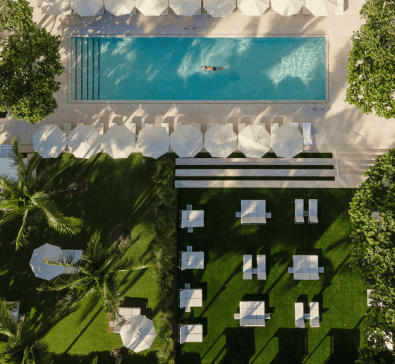 Aerial view of a pool with a swimmer, surrounded by umbrellas and greenery.