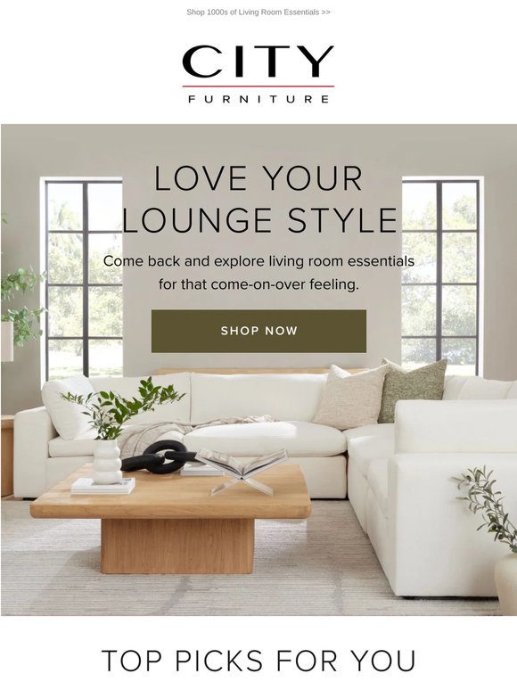 🛋️ Looking for Living Room Solutions?