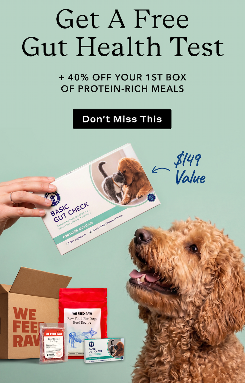 Get A Free Gut Health Test + 40% Off Your 1st Box of Protein Rich Meals