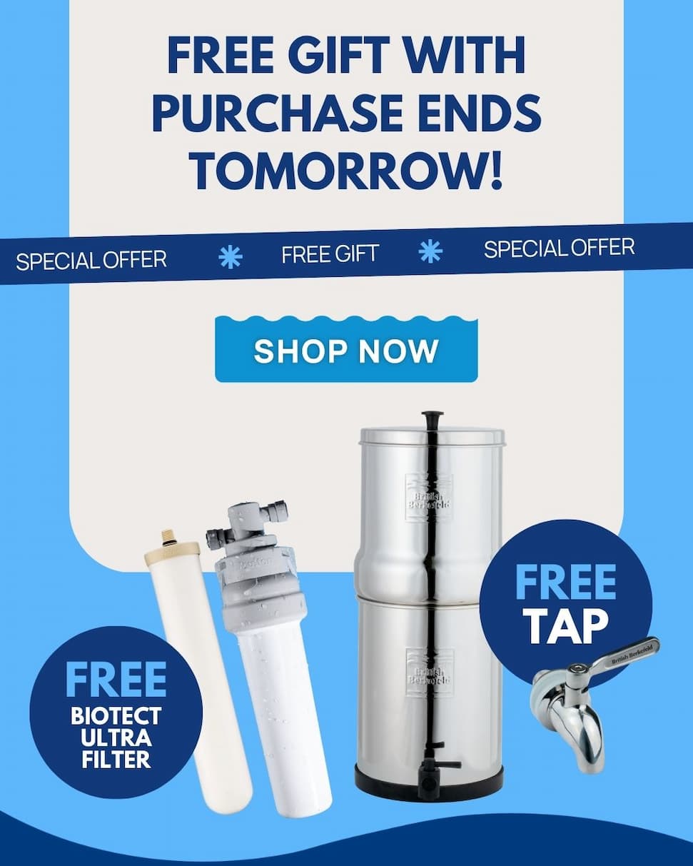 Free Gift With Purchase