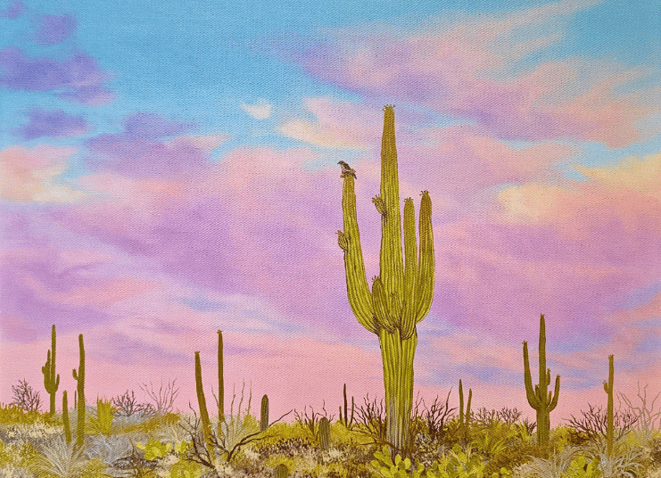 cactus sunset painting