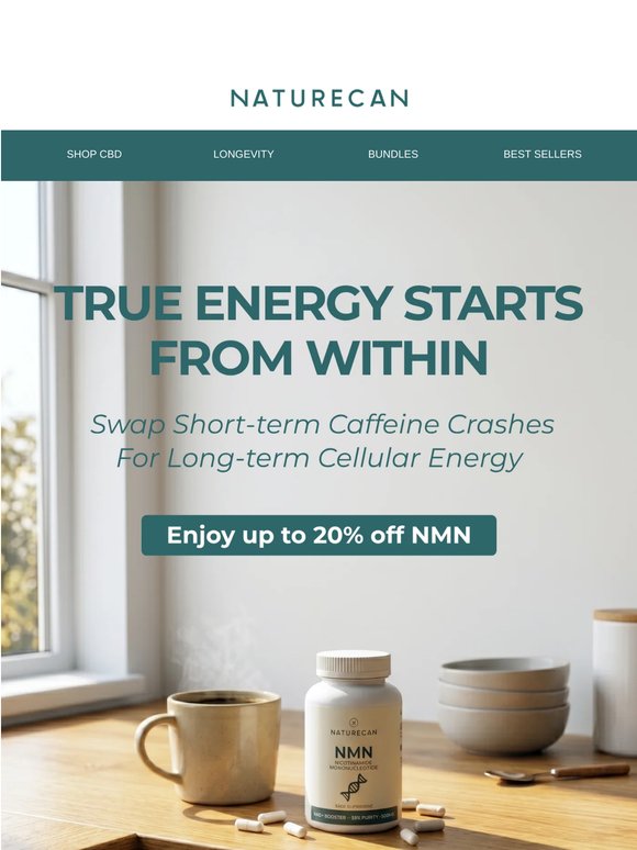 Tired of 3 PM Crashes? Here’s Help! 🔋