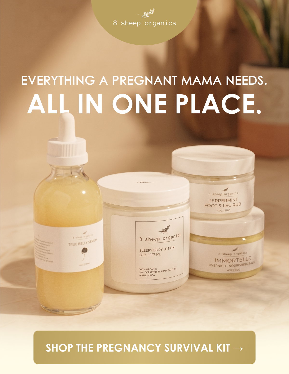 Everything a pregnant mama needs. All in one place. | Shop the Pregnancy Survival Kit