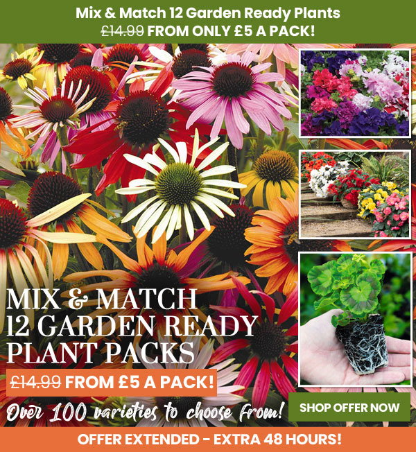 Garden Ready Mix & Match