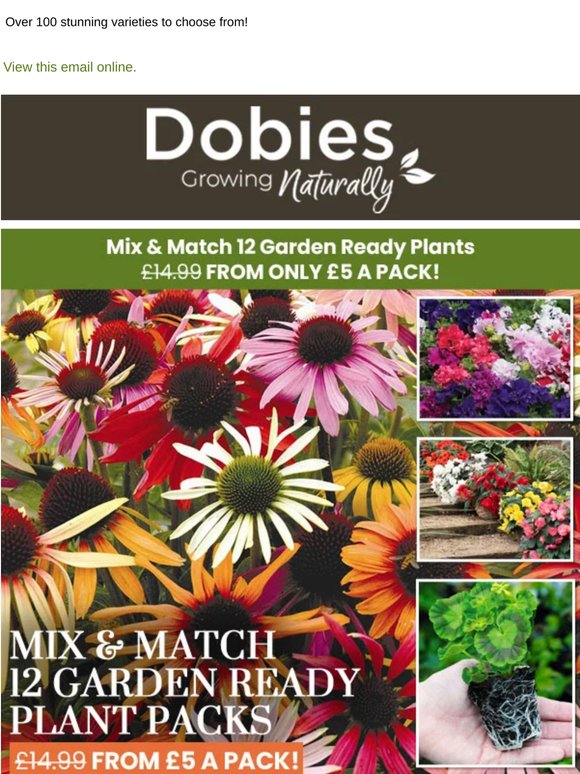 12 Garden Ready Plants FROM £5 A Pack! Mix & Match Special