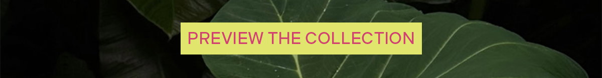 COMING SOON: LA TROPICA COLLECTION 