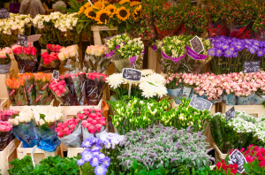 1-800-Flowers' 2026 Flower of the Year (it's gorgeous)