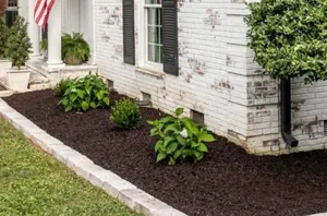 Flower bed ideas that actually work for people who aren't gardeners