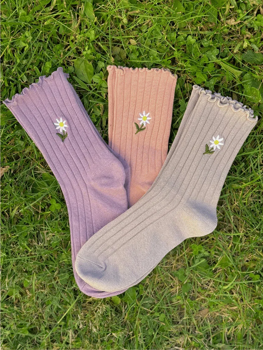 Image of Daisy Magic Sock Bundle