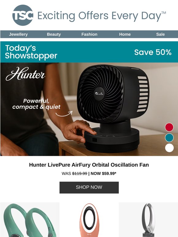 Hunter LivePure AirFury Orbital Oscillation Fan