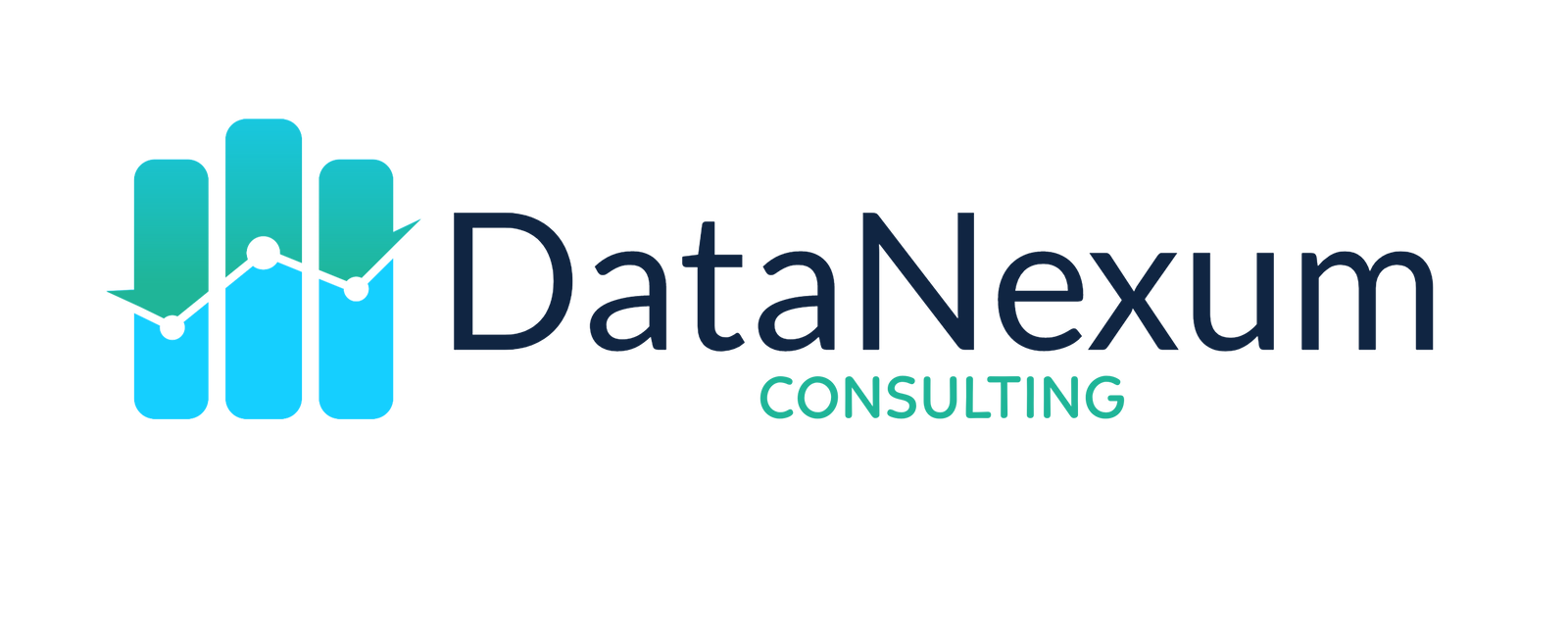 DataNexum Consulting