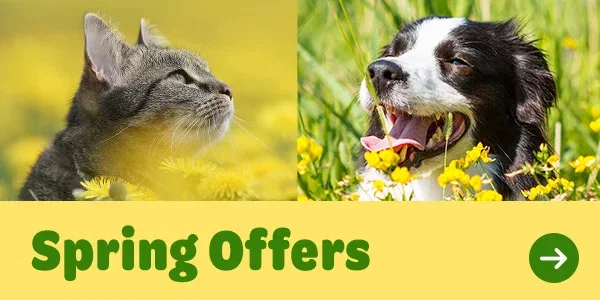 Special Offers
