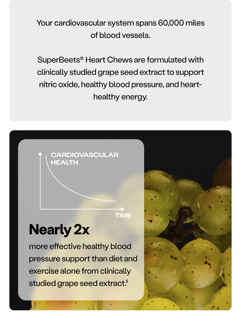 Your cardiovascular system spams 60,000 miles of blood vessels. SuperBeets® Heart Chews are formulated with clinically studied grape seed extract to support nitric oxide, healthy blood pressure, and heart-healthy energy.