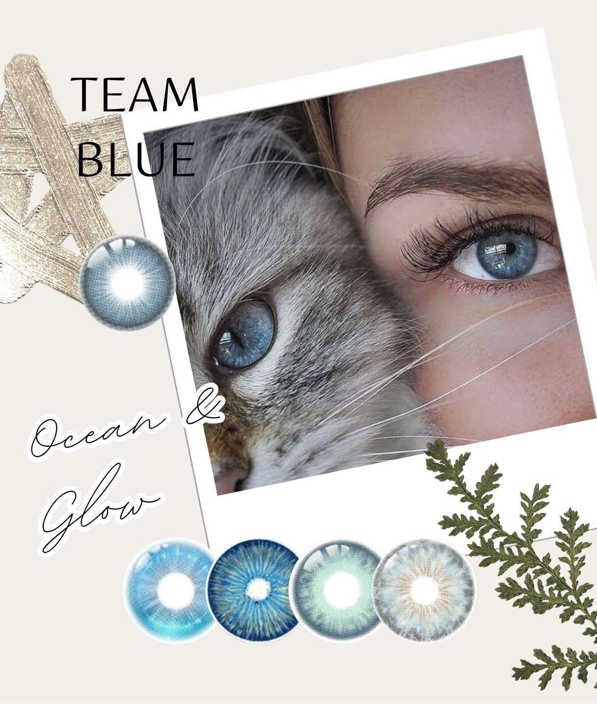 Blue Contacts