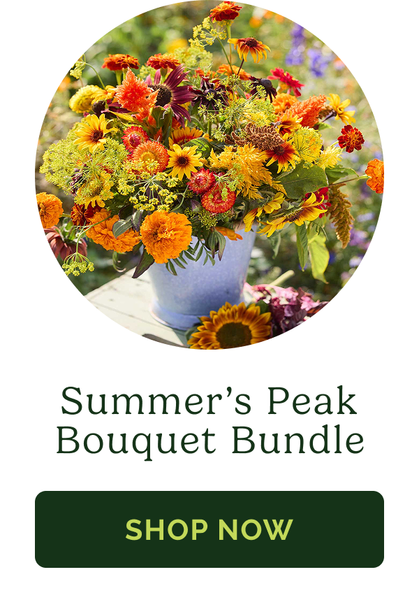 Summer's Peak Bouquet Bundle