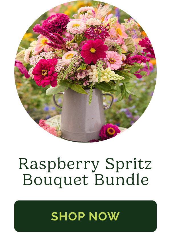 Raspberry Spritz Bouquet Bundle