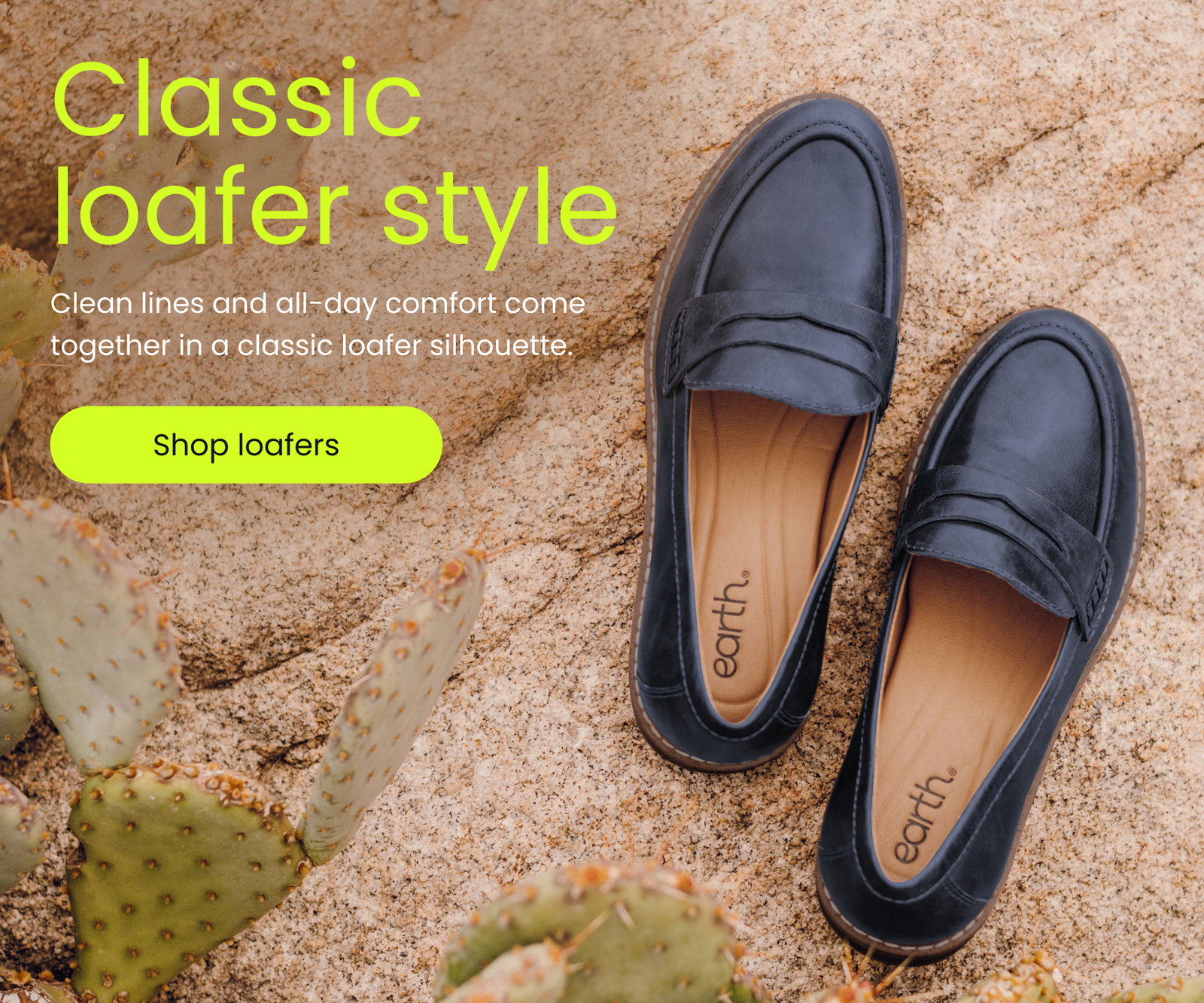 [ SHOP THE DAILEY ]