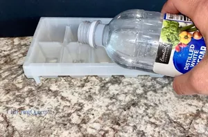 Pour white vinegar into an ice tray to copy this super quick, $2 cleaning hack