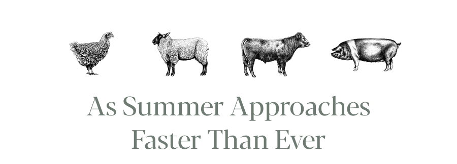 As summer approaches faster than ever 