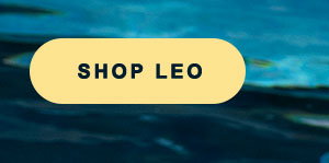 Sale at Leonisa