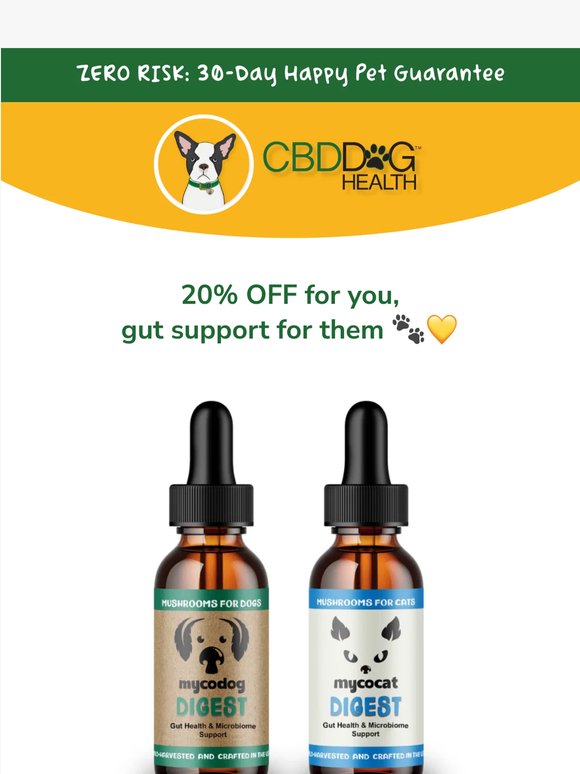 20% off for you, gut support for them 🐾