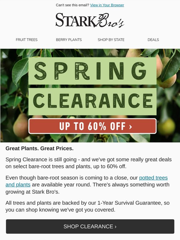 🌱 [60% Off] Select Clearance Items