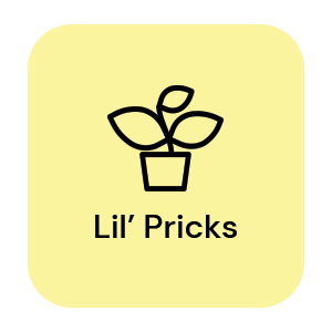Lil' Pricks