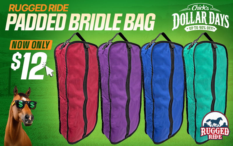 Bridle Bags $12 - Dollar Days Deal$