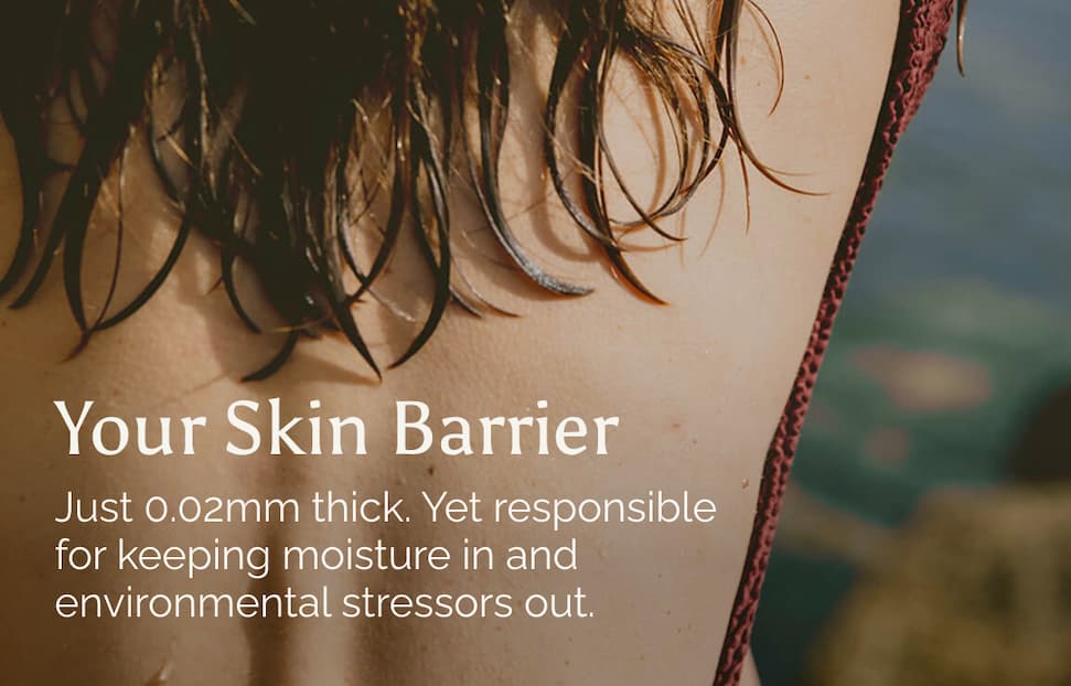 Your Skin Barrier. Just 0.02mm thick. Yet responsible for keeping moisture in and environmental stressors outs.