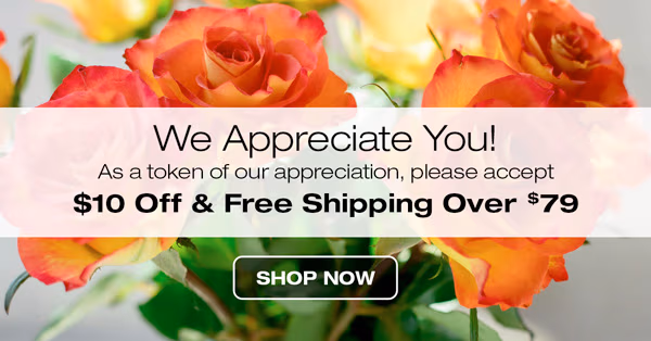 Customer Appreciation