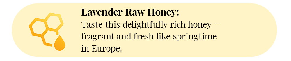 Lavender Raw Honey: Taste this delightfully rich honey harvested — fragrant and fresh like springtime in Europe