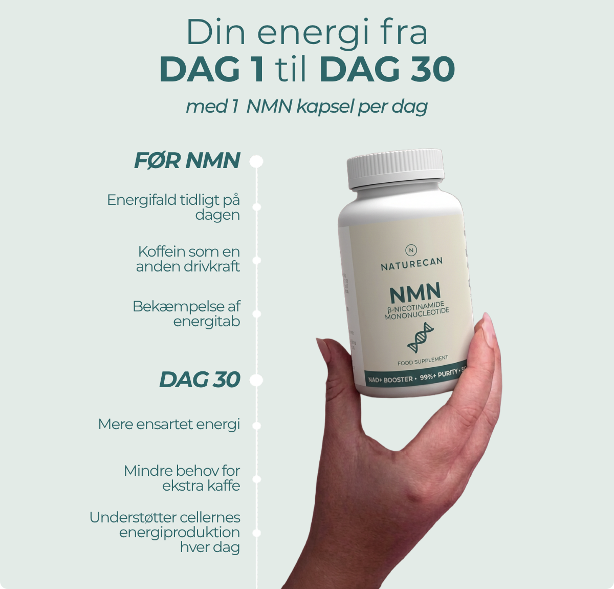 Før NMN: Energidip i løbet af dagen. Dag 30 med NMN: mere stabil energi, mindre behov for ekstra kaffe