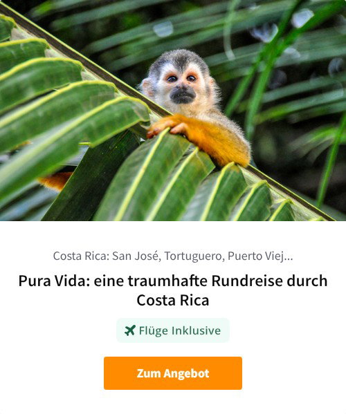 Pura Vida: eine traumhafte Rundreise durch Costa Rica